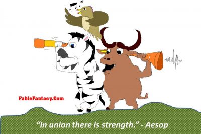 Zebra storyteller gnu storyboard teamwork